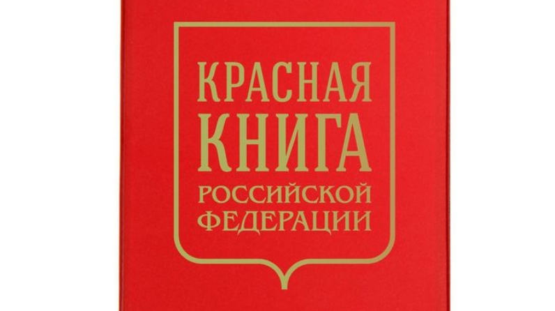 ««Красная книга» «Международный день защиты животных»».