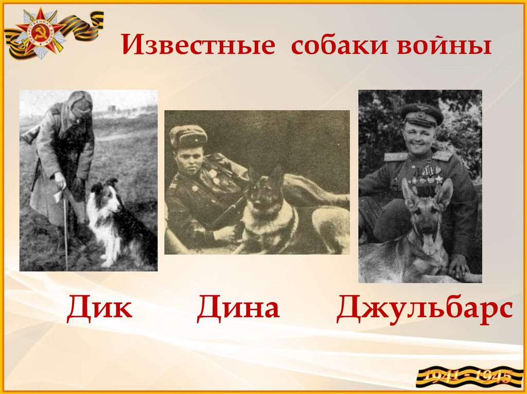 Патриотическое занятие «Животные-герои Великой Отечественной войны».