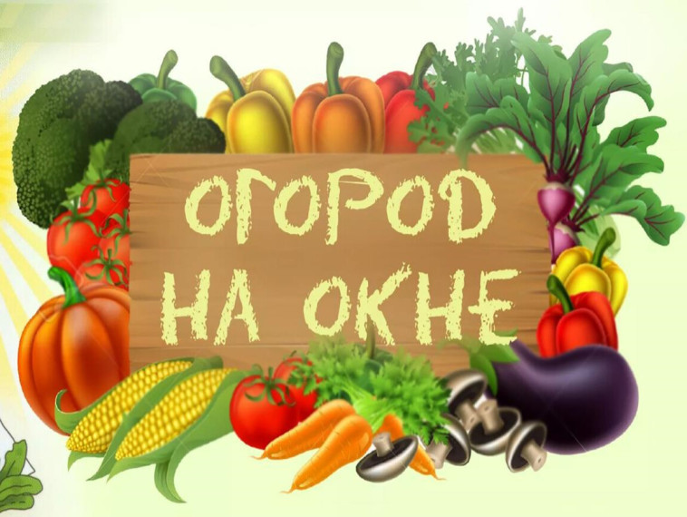 Огород на окне.