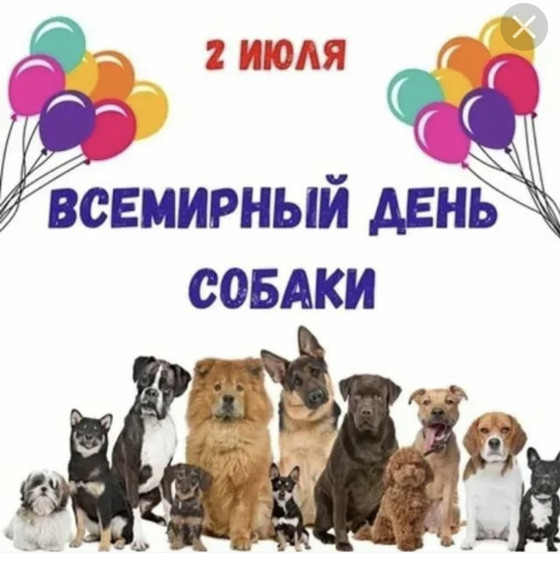 2 июля - Международный день собак..