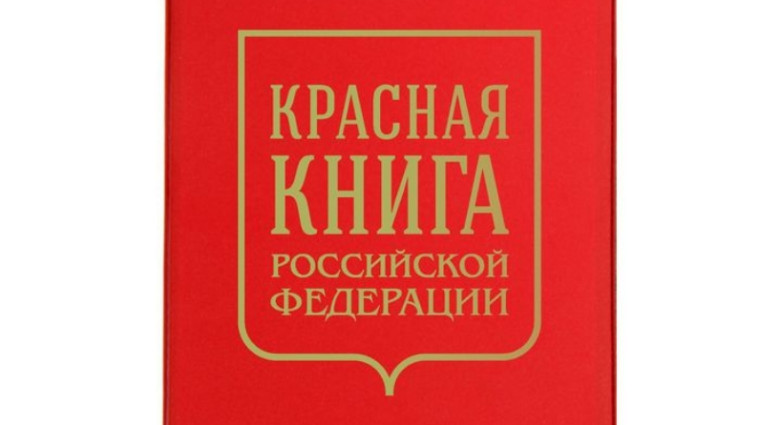 ««Красная книга» «Международный день защиты животных»».