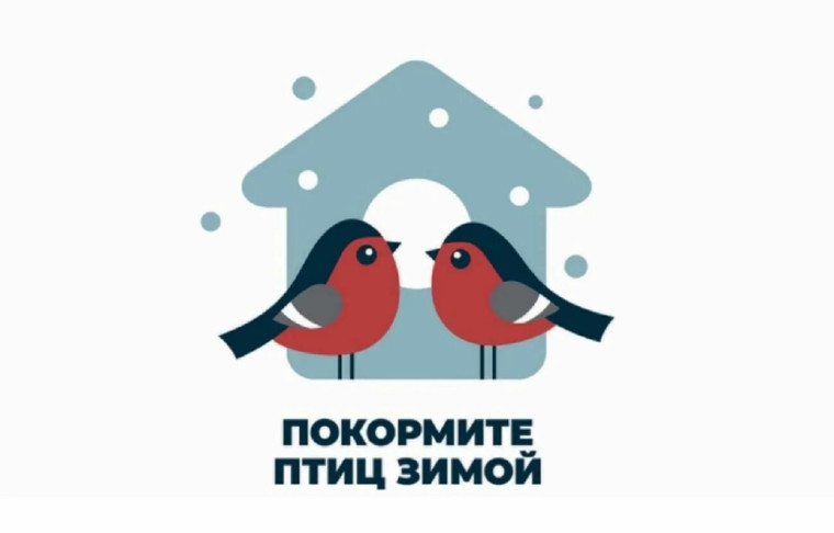 Акция «Покормите птиц зимой».